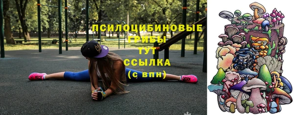 бутират Алексин