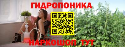 шишки Жуковский