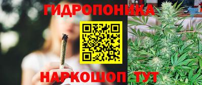 скорость Заводоуковск