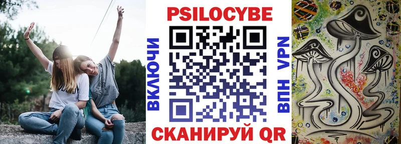 сколько стоит Лесосибирск hydra сайт Псилоцибиновые грибы Psilocybine cubensis