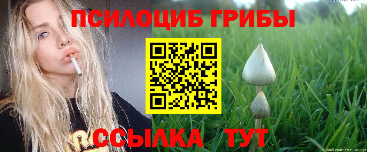 Лесосибирск  Псилоцибиновые грибы ЛСД  Вход с VPN 